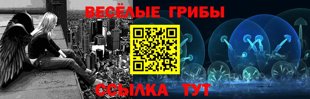 NBOMe  Кодеин  ЭКСТАЗИ  Вход с VPN  Меф МЯУ МЯУ кристаллы  Купить закладку  МЕФ  Конаково  Марихуана  ГАШИШ 