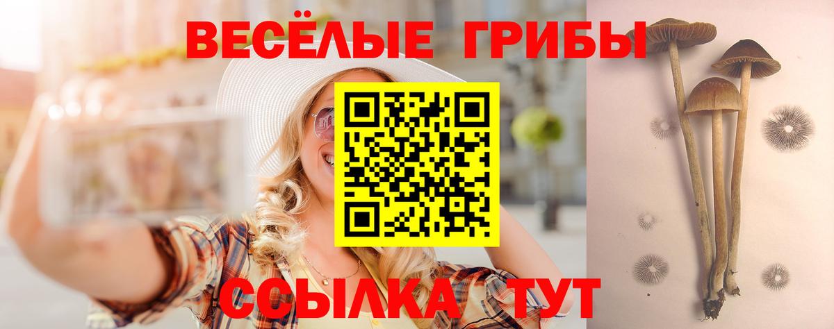 Псилоцибиновые грибы прущие грибы  Вход с VPN  Конаково  Галлюциногенные грибы Magic Shrooms 